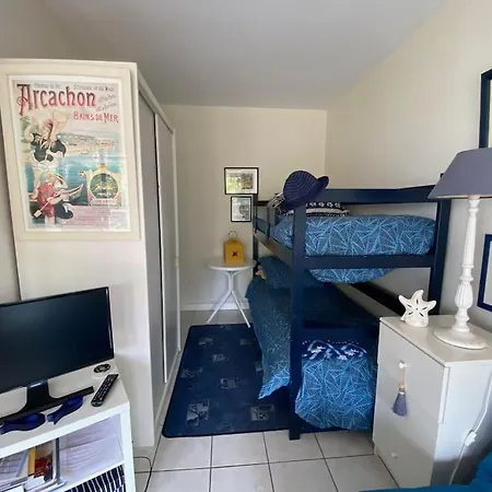 Vue Bassin 4 Personnes Apartman